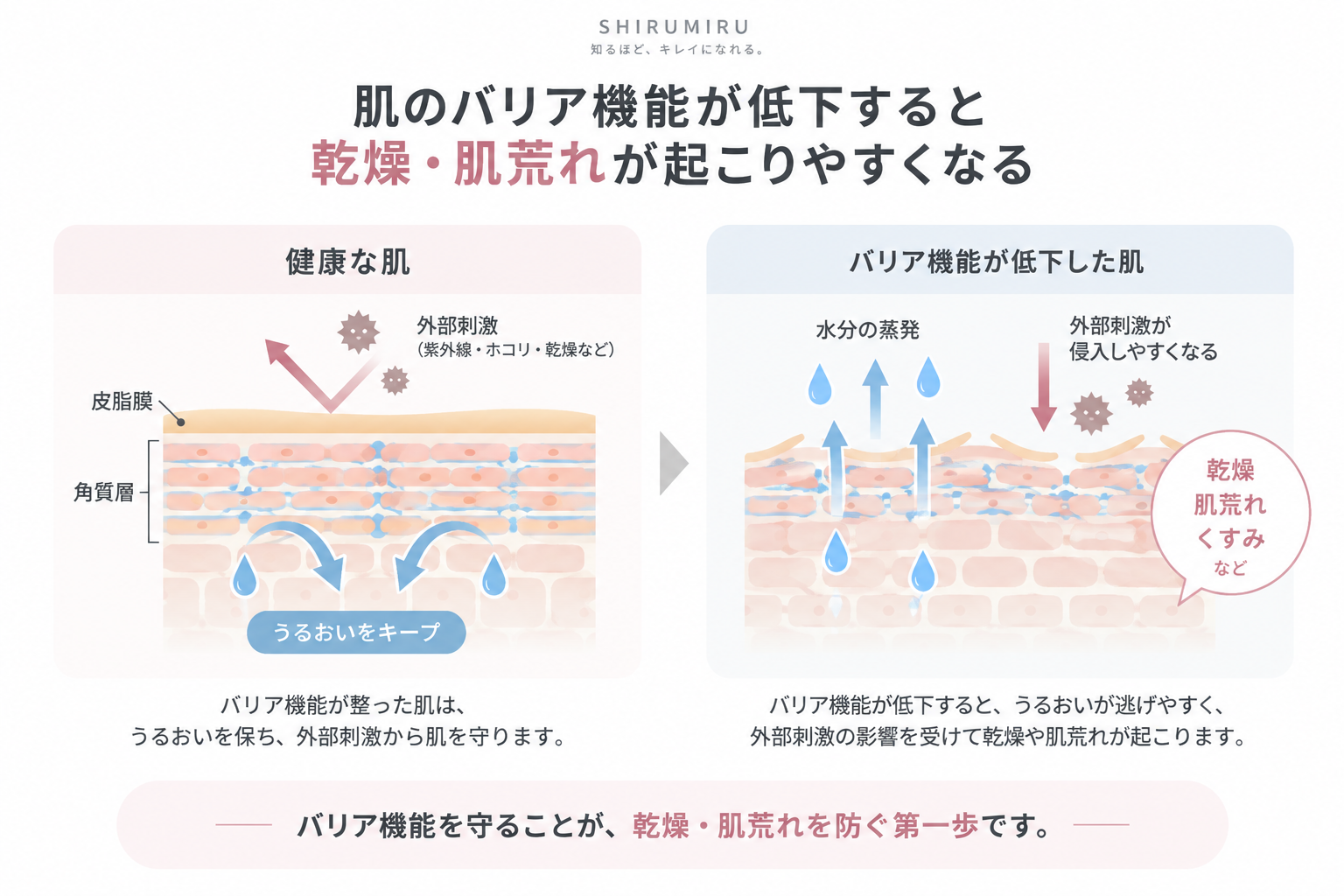 肌のバリア機能と乾燥・肌荒れの関係