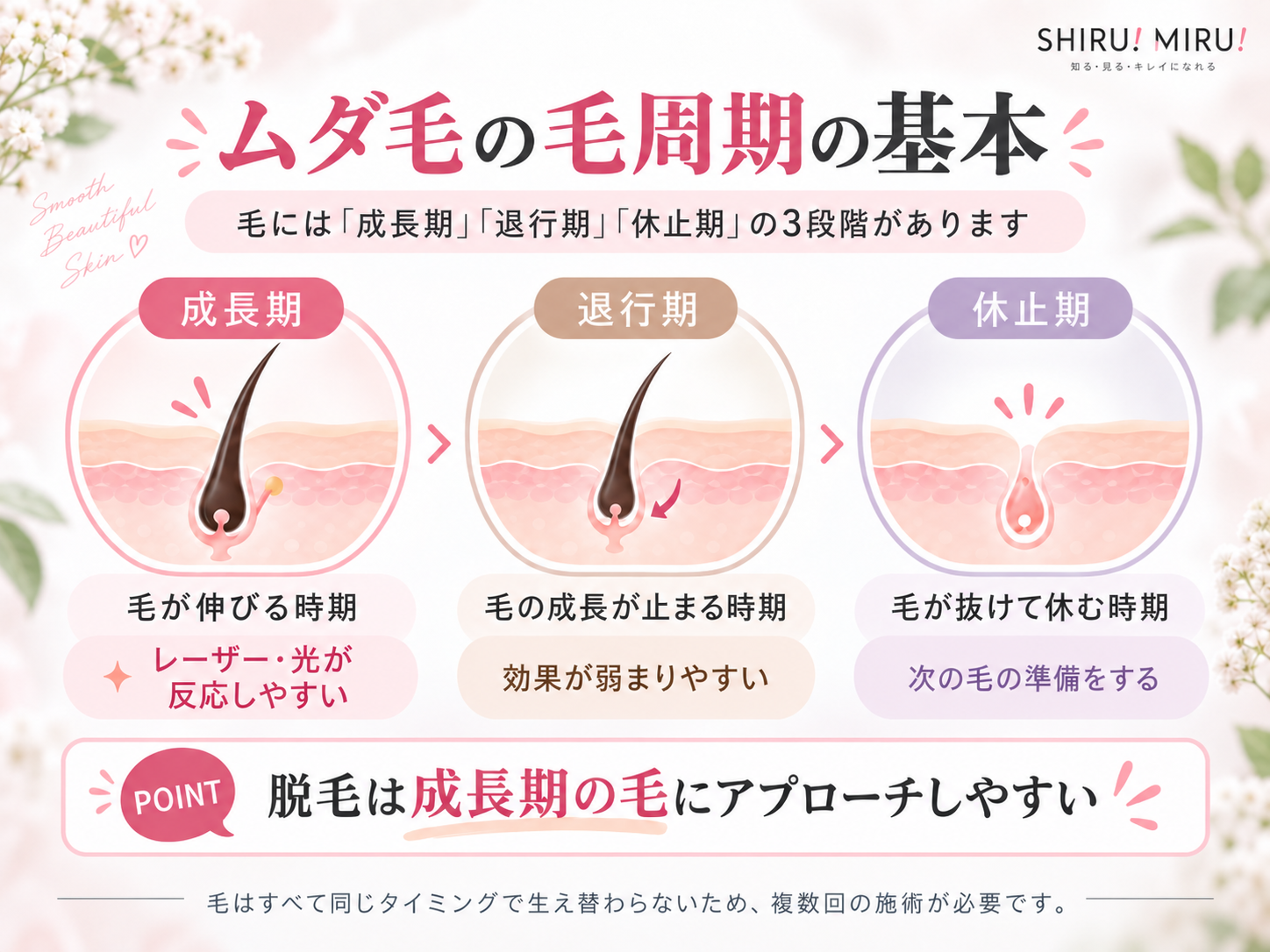 ムダ毛の毛周期 成長期・退行期・休止期
