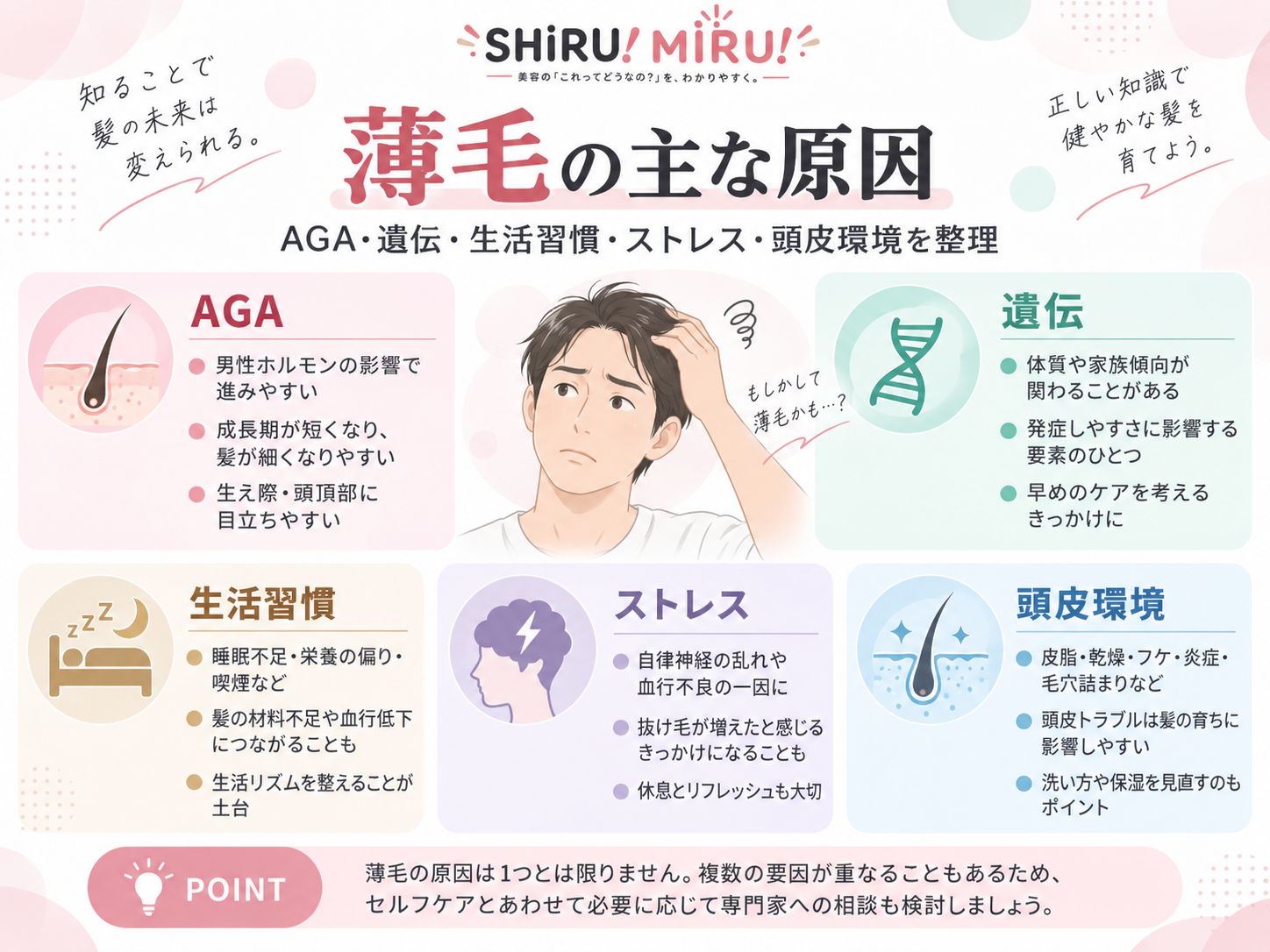 正常な毛周期とAGAの毛周期の違い