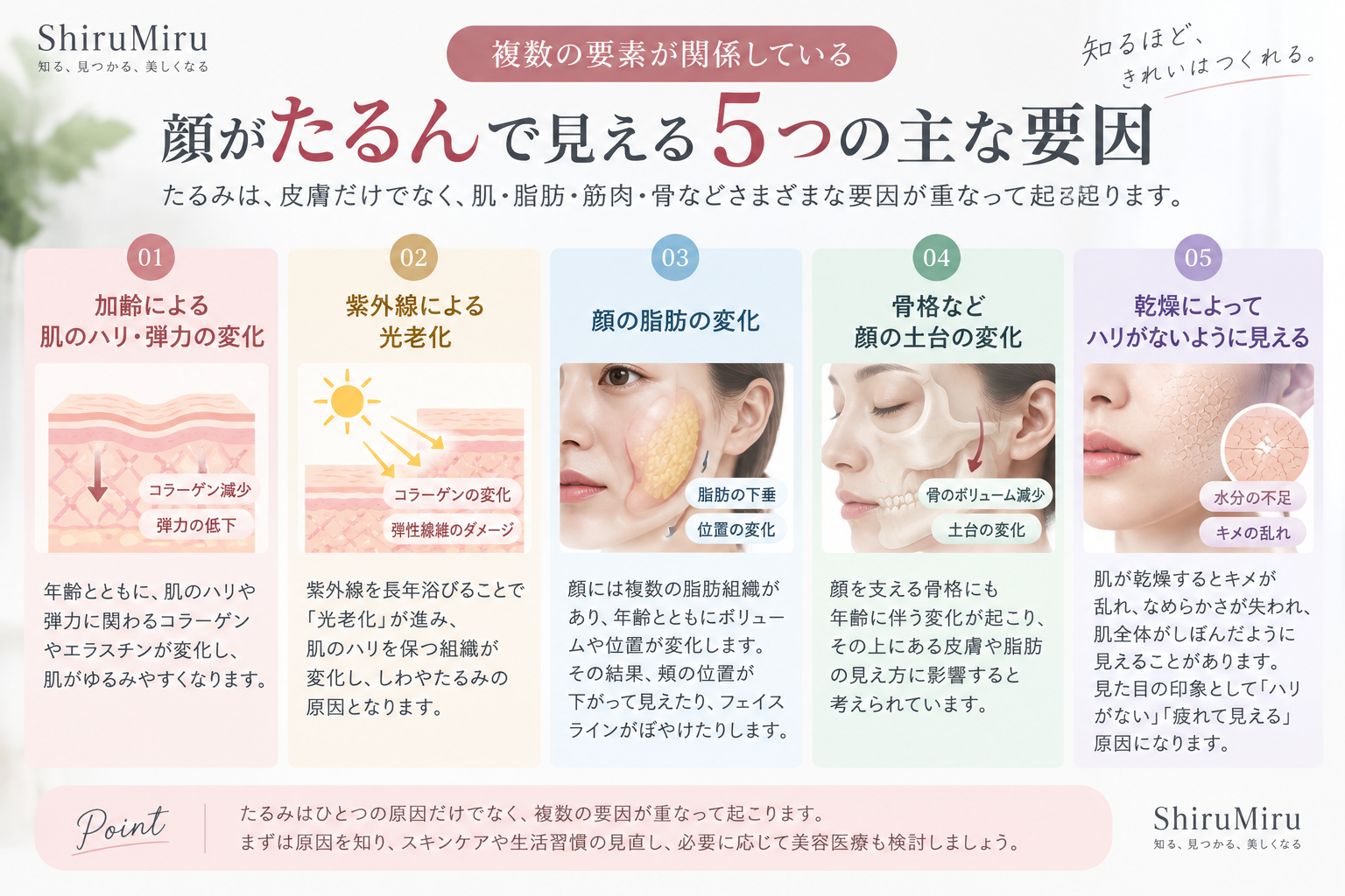 顔のたるみに関係する皮膚・脂肪・筋肉・靱帯・骨の構造